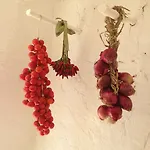 Masseria Trulli&stelle Noci