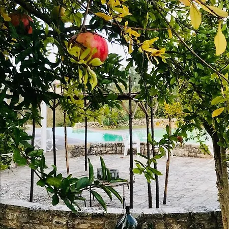 Gospodarstwo wiejskie Masseria Trulli&stelle Noci