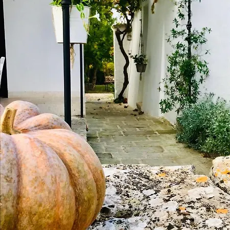 Venkovský dům Masseria Trulli&stelle Noci