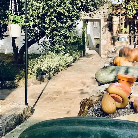Gospodarstwo wiejskie Masseria Trulli&stelle Noci
