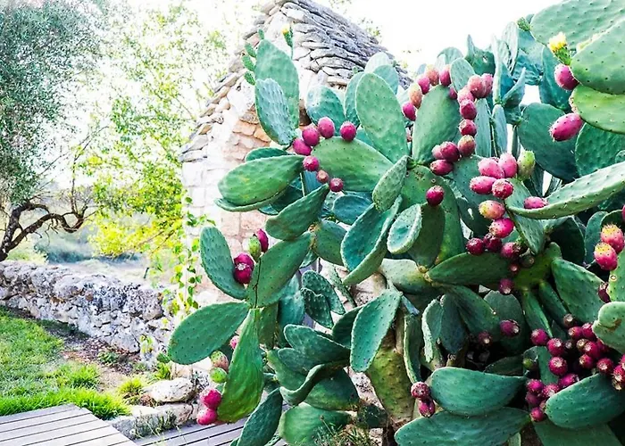 Masseria Trulli&stelle Летний дом Ночи