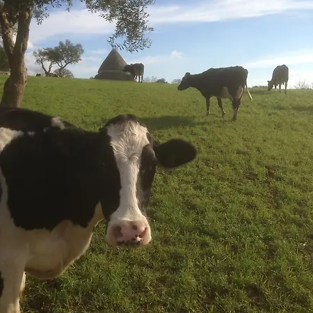 Masseria Trulli&stelle *