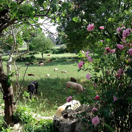 Masseria Trulli&stelle カントリーハウス