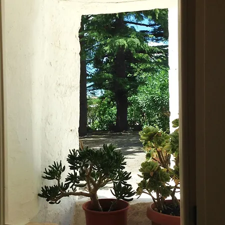Masseria Trulli&stelle Kır Evi Noci