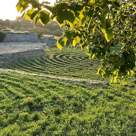 Masseria Trulli&stelle Kır Evi