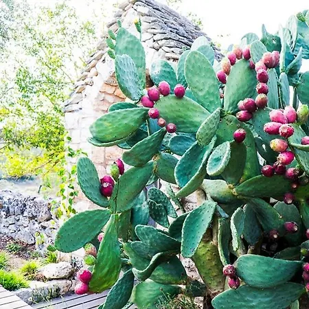 Masseria Trulli&stelle Landhaus Noci