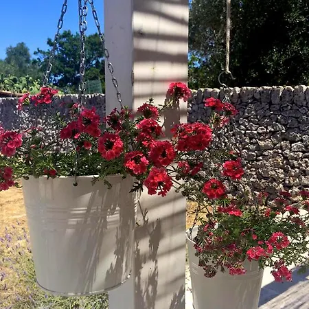 Venkovský dům Masseria Trulli&stelle *