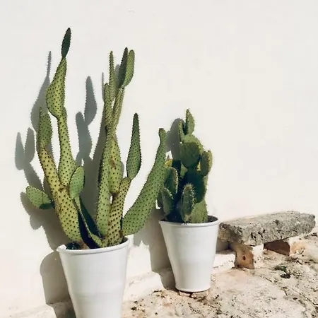 Masseria Trulli&stelle Kır Evi *