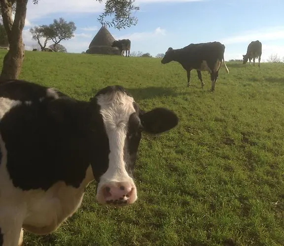 Masseria Trulli&stelle *