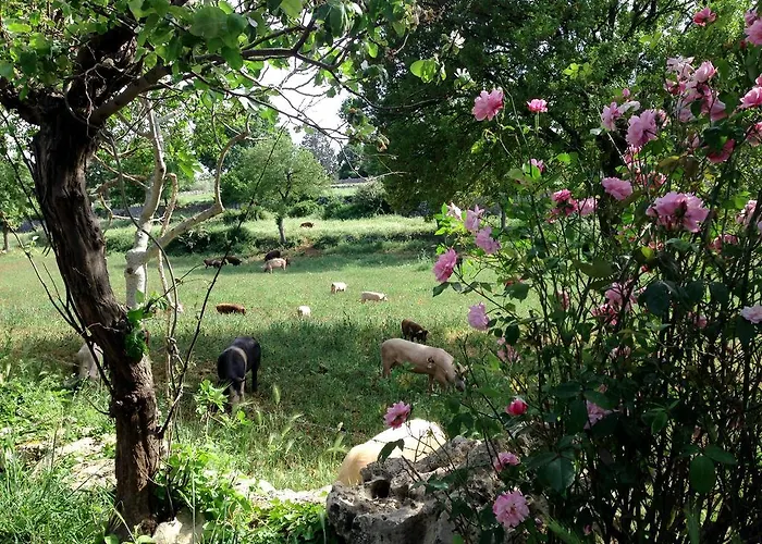 Masseria Trulli&stelle Séjour à la campagne
