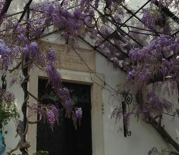 Masseria Trulli&stelle